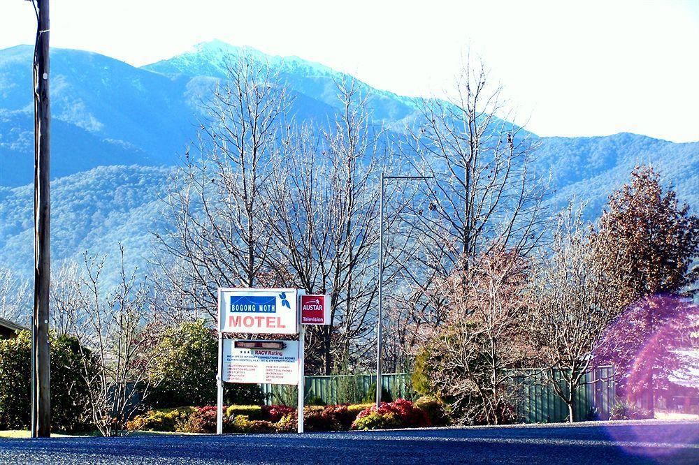 Bogong Moth Motel Маунт-Бьюти Экстерьер фото